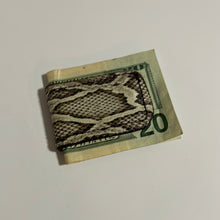 Load image into Gallery viewer, Python Money Clip - Dark